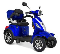 Elektromobil ROLEKTRO "Rolektro E-Quad 25 V.2-R31 Bleigel", blau, ElektromobileB:71cm H:142cm L:171cm, B:71cm H:142cm L:171cm (54848262-0) blau