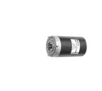 Elektromotor Starter Generator 24 V 0,5 kW 3.200 RPM MAHLE für BUCHER