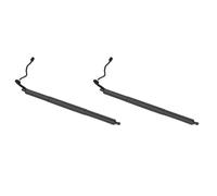 Elektromotor, Heckklappe STABILUS 430705