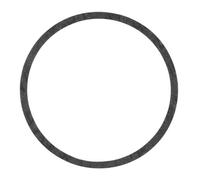 ELRING Dichtung, Zylinderlaufbuchse 100mm für SKODA VW SEAT CUPRA AUDI 311101341 660.702