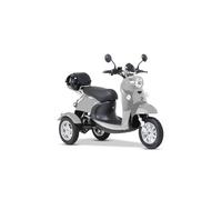 ENEWAY 3-Rad E-Mobil Modena II 25 km/h E-Trike ETrike Elektrofahrzeug Mobilitätsfahrzeug silber