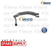 ENTLÜFTUNGSSCHLAUCH, AUSGLEICHSBEHÄLTER FÜR BMW E36 VAICO V20-1641