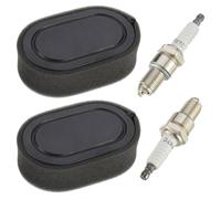 EPLZON 2 Stücke Rasenmäher Luftfilter und 2 Stücke Zündkerze, für Briggs & Stratton Motoren 550E 550EX Eco-Plus 575EX Series mit Ersetzt 798339 798452 593260 093000er 09P0000er Motor 4247 5432 5432K