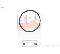 EPS Dichtung, Thermostatgehäuse 1890550 für Opel GM LANCIA Fiat HOLDEN DAEWOO BMW