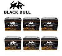 ErsatzAkku Blackbull 72V 45AH Akku Zyklenfest E-Lizzy E-Lazzy Econelo Stormborn