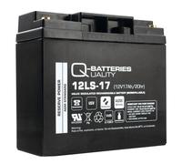 Ersatzakku für Panasonic LC-XD1217PG 12V 17Ah AGM Batterie AGM VdS
