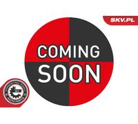 ESEN SKV 09SKV190 Lambdasonde für BMW,MINI