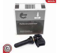 Radsensor, Reifendruck-Kontrollsystem