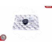 ESEN SKV REPARATURSATZ KURBELGEHÄUSEENTLÜFTUNG 96SKV222 FÜR MERCEDES 04->