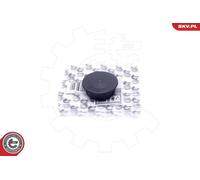 ESEN SKV Reparatursatz Kurbelgehäuseentlüftung 96SKV223 für MERCEDES KLASSE W211