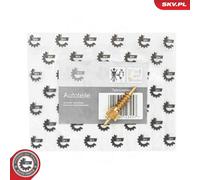 ESEN SKV 97SKV118 Stellelement, Sitzlehnenverstellung