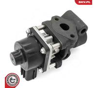ESEN SKV AGR-Ventil 14SKV260 passend für FIAT SUZUKI