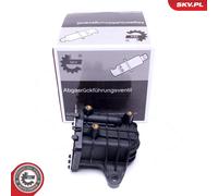 ESEN SKV AGR-Ventil 14SKV231 (Abgasrückführung) für Citroën, Ford, Peugeot