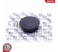 ESEN SKV Reparatursatz Kurbelgehäuseentlüftung 96SKV223 für MERCEDES KLASSE W211