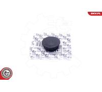 ESEN SKV Reparatursatz Kurbelgehäuseentlüftung 96SKV223 für MERCEDES KLASSE W211