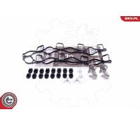 ESEN SKV Reparatursatz, Saugrohrmodul 49SKV517