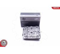 ESEN SKV Steuergerät Beleuchtung 59SKV059 für Volvo S60 S90 V60 V90 XC60 XC90