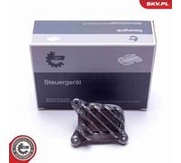 ESEN SKV Steuergerät Beleuchtung 59SKV134 für BMW 4er F32 F82 F36 F33 F83 3er