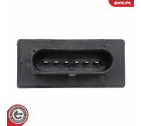 ESEN SKV Steuergerät, Kraftstoffpumpe 96SKV396 für CUPRA