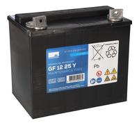 Exide Sonnenschein GF 12 025 Y G dryfit Blei Gel Antriebsbatterie 12V 25Ah