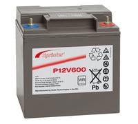 Exide Sprinter P12V600 12V 24Ah Blei-AGM Akku mit VdS