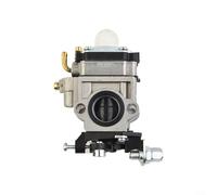 EXTRWORY Vergaser 4in1 für Florabest für FBS 43 A1 Für FBK 4 B2 Für Parkside Für PBK 4 A1 Für PBS 2 A1 Freischneider Kombi Werkzeug Ersatzteil