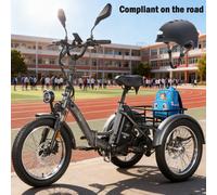 FAFREES Cargo Bike Elektro Dreirad Faltbar eBike 20Zoll Gepäck Trike 21Ah 25km/h