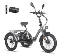 Fafrees Dreirad e Bike F20 Mate, E-Bike 3 Rad 48V 21Ah Akku, 250W 25km/h E Bike Klapprad 20 * 3.0 Zoll, 65N.m Elektro Dreirad Lasten für Erwachsene (Kleiner Korb, Grau)