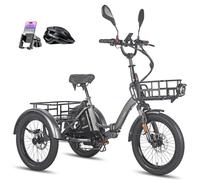 Fafrees F20 Mate e-Bike Dreirad 20"*3.0 Zoll, 48V 18.2Ah Akku, e Bike klapprad 65N.m Motor, 3-Rad ebike 25km/h, Reichweite bis zu 55-110Km (Vorderer Korb + Kleiner hinterer Korb, Grau)