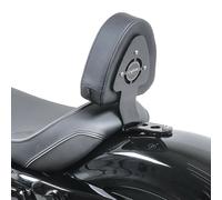 Fahrer Sissybar für Harley Sportster 04-20 Rückenlehne Fahrer