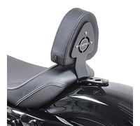 Fahrer Sissybar kompatibel mit Harley Davidson Sportster 04-20 Rückenlehne Fahrer