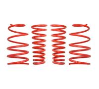 Fahrwerksatz, Federn EIBACH E20-10-001-02-22