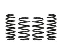 EIBACH E10-15-007-01-22 Fahrwerkssatz Federn Pro-Kit
