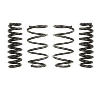 EIBACH E10-20-014-16-22 Fahrwerkssatz Federn Pro-Kit