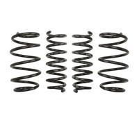 Fahrwerkssatz, Federn EIBACH E10-20-024-01-22 Pro-Kit für, Hinterachse