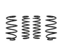 EIBACH E10-79-006-02-22 Fahrwerkssatz Federn Pro-Kit