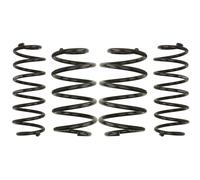 EIBACH Fahrwerkssatz, Federn E10-85-024-02-22 Pro-Kit