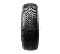 Falken Euroall Season AS210 XL 215/55 R16 97V