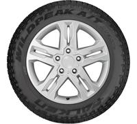FALKEN - REIFEN Ganzjahresreifen 215/70R16 100H WILDPEAK A/T AT3WA 337167 215/70 R16