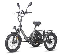 Faltbares Elektro Dreirad 20 Zoll Cargo Trike 3-Rad Fahrrad 5OOW 21Ah 25km/h EU