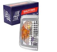 FAST Blinkleuchte FT87079