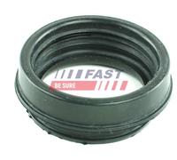 FAST Dichtring, Ansaugschlauch-Luftfiltergehäuse für FIAT FT49914