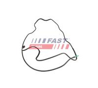 FAST Kraftstoffleitung ft00924 Kraftstoffpumpe zum Filter für RENAULT