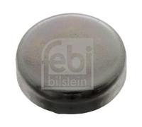 Froststopfen FEBI BILSTEIN 02544