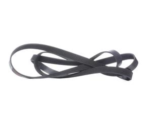 FEBI BILSTEIN 29022 Keilrippenriemen