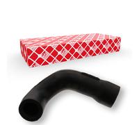 FEBI BILSTEIN Schlauch, Kurbelgehäuseentlüftung 33858