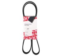 febi bilstein | Keilrippenriemen | 37651