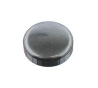 FEBI BILSTEIN Froststopfen 31793