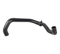 febi bilstein | Kühlerschlauch | 174416