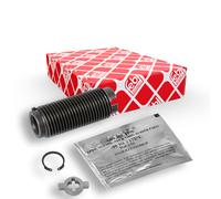 Schraube, Bremssattel FEBI BILSTEIN 173089 für DAF RENAULT TRUCKS, rechts